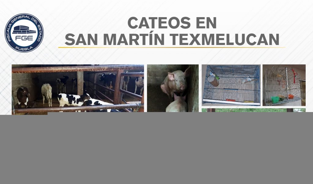 Cateos San Martín texmelucan 04