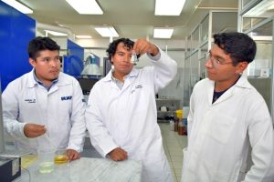 Estudiantes proponen reactor híbrido para producir biogás y biodiésel