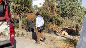 Abandonan restos humanos en bolsas en camino cañero de Chietla