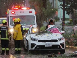 Muere una persona tras caída de árbol sobre vehículo en la Recta a Cholula durante intensa lluvia