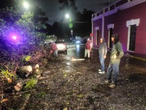 Protección Civil atiende afectaciones por lluvias en zona metropolitana
