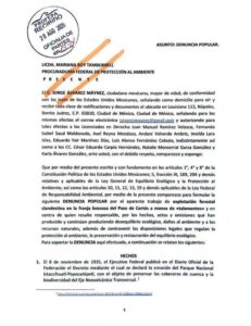 ¡Alto a la tala clandestina en la franja boscosa del Parque Nacional Iztaccíhuatl-Popocatépetl!