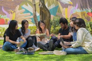 Académica UDLAP analiza el modelo de «ciudades esponja» ante socavones y lluvias extremas