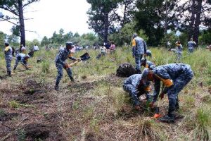 Puebla busca plantar 2 millones de árboles en 2026; lleva avance de 83 mil ejemplares: García Parra