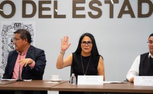 Propone Fedrha Suriano garantizar acceso efectivo a servicios de salud en materia de interrupción legal del embarazo